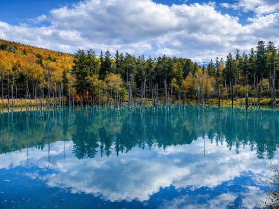 螢幕快照 2025-09-03 下午1.40.18