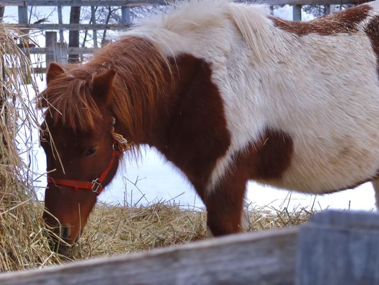ファームズ千代田2