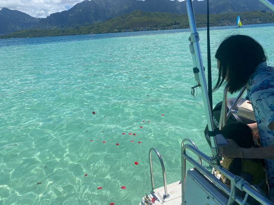 71418174199__8F06C454-71F9-4B9D-ADE3-0534913BC85B - Copy