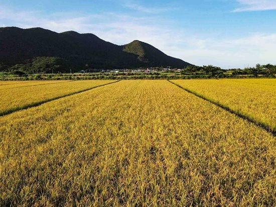 DJI_0097 - frame at 0m0s-resize_web-2