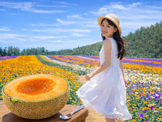 札幌発日帰りバスツアー富良野・美瑛絶景めぐり　青い池・四季彩の丘・ラベンダー畑ファーム富田 [旬のメロン半玉付き]＜7～9月毎週火・木・土＞