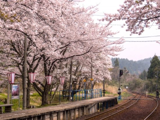 金沢発着　ローカル列車に揺られて能登紀行＜昼食付／4～7月／能登半島＞
