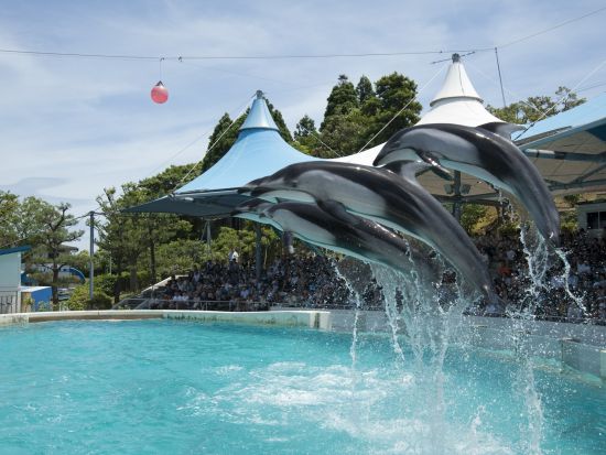 金沢発着　ローカル列車に揺られて能登紀行＜昼食付／4～7月／能登半島＞