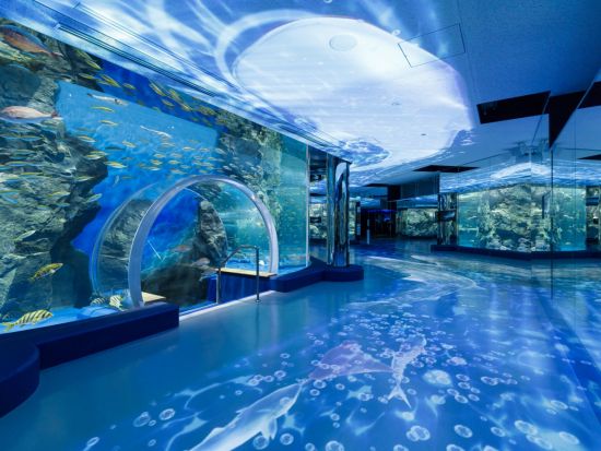 金沢発着　ローカル列車に揺られて能登紀行＜昼食付／4～7月／能登半島＞