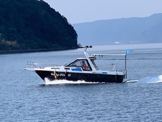 【愛犬連れOK】霧島錦江湾クルーズ　桜島東回りコース　新島上陸＆愛犬との観光付き！＜午前・午後／2時間 or 2時間40分／霧島市＞