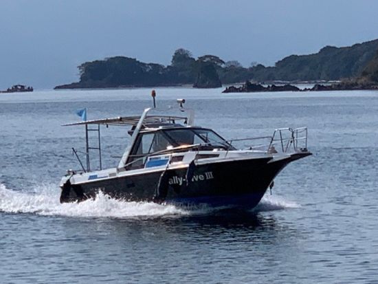 【愛犬連れOK】霧島錦江湾クルーズ　小型犬参加OKの桜島西回りコース　桜島上陸付きで愛犬と充実した観光を！＜午後／1時間50分 or 2時間40分／霧島市＞