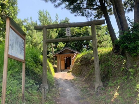 霧島錦江湾クルーズ　桜島西回りコース　桜島上陸＆観光付き！＜午後／1時間50分 or 2時間40分／霧島市＞