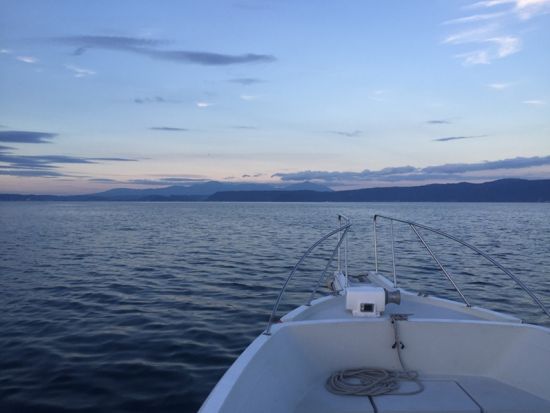 霧島錦江湾クルーズ　桜島西回りコース　桜島上陸＆観光付き！＜午後／1時間50分 or 2時間40分／霧島市＞