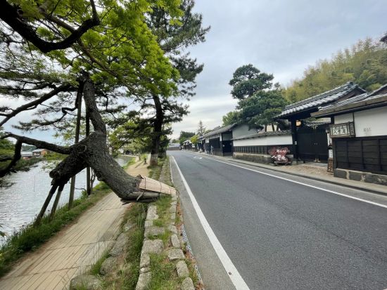 小泉八雲とセツのゆかりの地めぐり 松江城付近＋小泉八雲旧居＋月照寺＜2時間30分＞