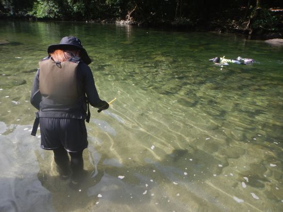 安房川リバーカヤック 屋久島公認ガイドきまたガイドがご案内 <宮之浦～安房～尾之間エリア送迎可能／1名参加可能／3時間＞by屋久島らんぶりん