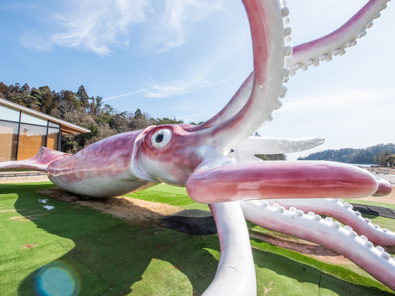 スクリーンショット 2026-02-13 163201