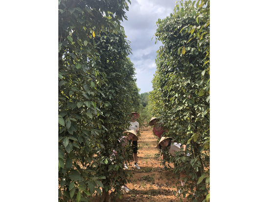 JT_Land Tour 1 (14)_resize