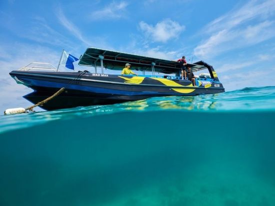 世界遺産グレートバリアリーフ シュノーケリングツアー経験者向け！　遊覧飛行付きプランもご用意あり！＜半日or1日／ケアンズ発＞