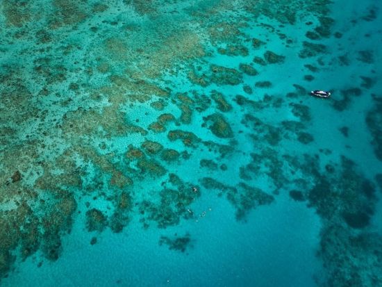 世界遺産グレートバリアリーフ シュノーケリングツアー経験者向け！　遊覧飛行付きプランもご用意あり！＜半日or1日／ケアンズ発＞