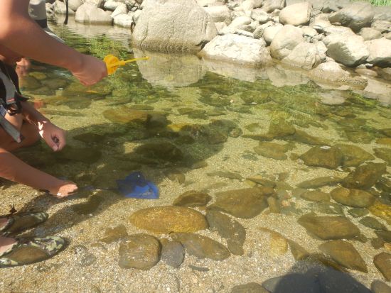 安房川SUP（サップ）半日ツアー 初心者大歓迎！宮之浦～安房～尾之間エリア送迎可＜午前 or 午後／1名参加OK／3時間＞ by 屋久島らんぶりん