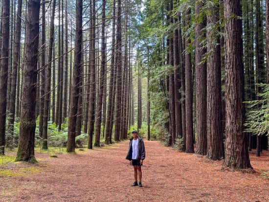 蒸気機関車パッフィンビリー＆ヤラバレー1日ツアー　ダンデノン森林鉄道＋レッドウッド散策＋ワイン試飲を満喫！＜英語ガイド／メルボルン発＞