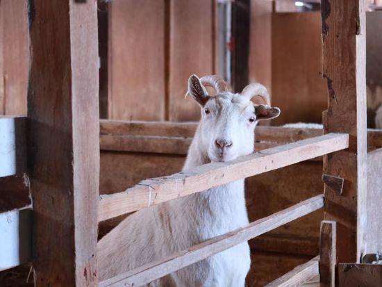 ファームズ千代田7