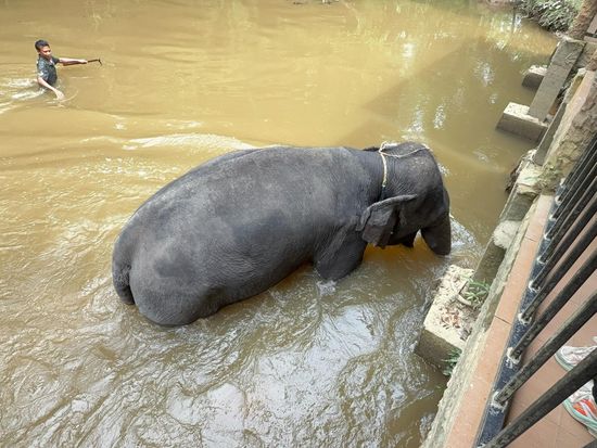 f41a4d67-04cb-47de-96c1-9771400d7cd4