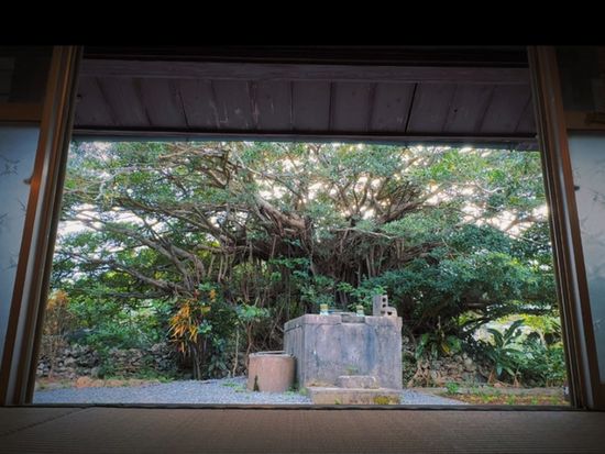 逕ｻ蜒擾ｼ・謠仙・逕ｨ逕ｻ蜒・12