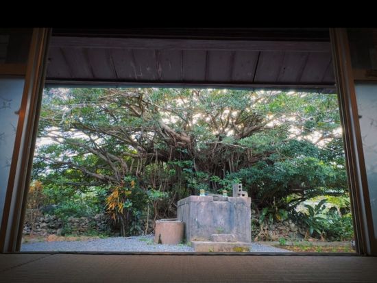沖縄長寿の食卓体験 五感で味わう学びの時間 100歳おばあの物語と長寿の食卓を味わおう＜約90分／沖縄本島／年齢制限なし＞