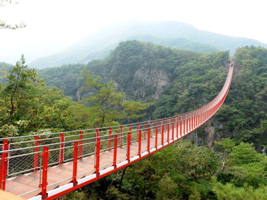 朝ゆっくり出発！DMZ1日ツアー　カマクサン吊り橋＋臨津閣＋第3トンネル＋北朝鮮脱北者Q&A付＜日本語／明洞駅・弘大入口駅発着／仁川空港お迎え付きプランあり＞