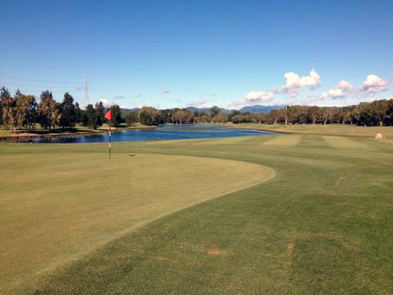 パーマーコロニアル6