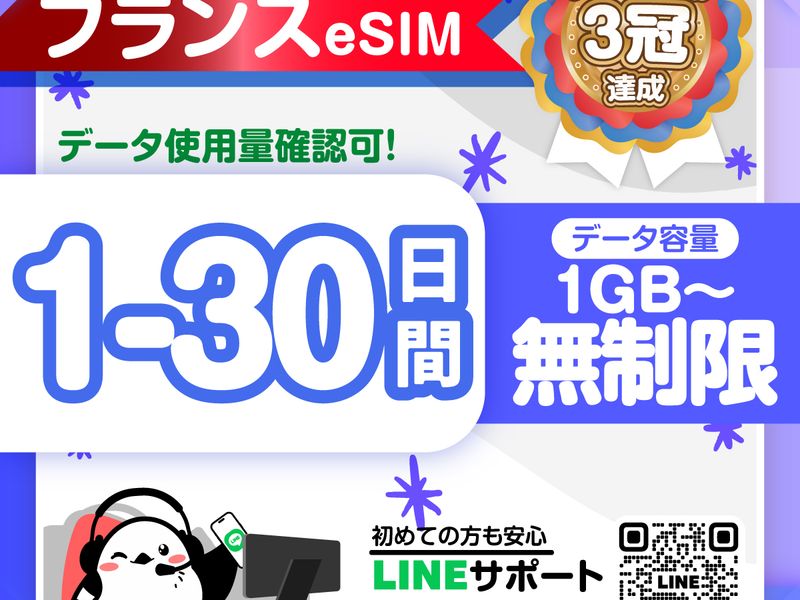 08　フランスeSIM-01