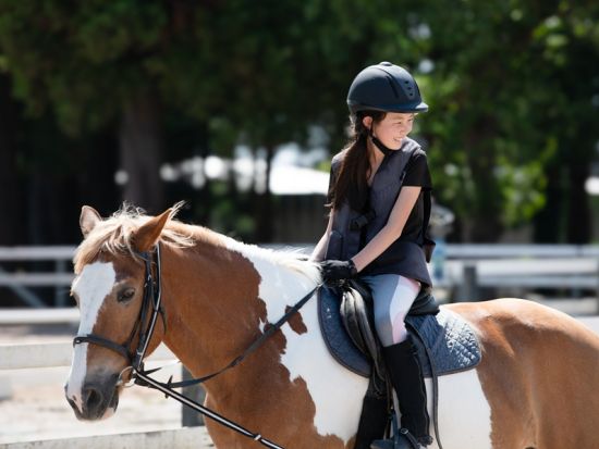 函館 乗馬体験 初心者から楽しめる自然満喫トレッキング　お散歩・丘の上・林間など選べる3コース＜1～2時間／函館市＞