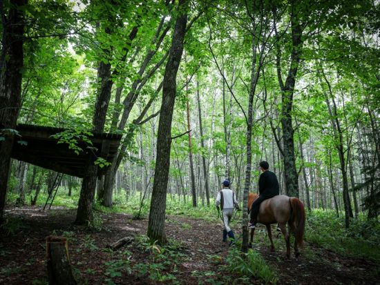 函館 乗馬体験 初心者から楽しめる自然満喫トレッキング　お散歩・丘の上・林間など選べる3コース＜1～2時間／函館市＞