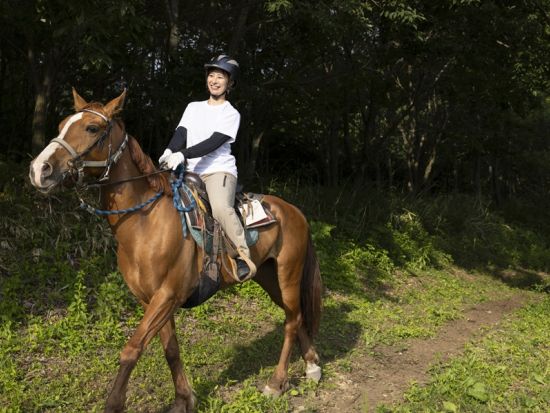 函館 乗馬体験 初心者から楽しめる自然満喫トレッキング　お散歩・丘の上・林間など選べる3コース＜1～2時間／函館市＞
