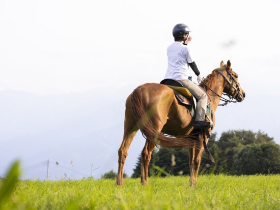 函館 乗馬体験 初心者から楽しめる自然満喫トレッキング　お散歩・丘の上・林間など選べる3コース＜1～2時間／函館市＞