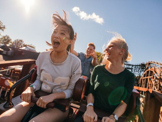 テーマパーク ⇔ ゴールドコースト市内ホテル往復送迎サービス　ムービーワールド・ドリームワールド・ウェット＆ワイルド・シーワールド＜乗合／英語ドライバー＞