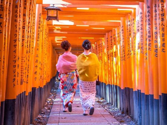 奈良公園＋伏見稲荷大社＋嵐山 日帰りツアー 嵯峨野トロッコ列車や竹林を満喫＜大阪発着／日本語・中国語or英語＞