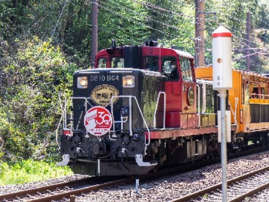 奈良公園＋伏見稲荷大社＋嵐山 日帰りツアー 嵯峨野トロッコ列車や竹林を満喫＜大阪発着／日本語・中国語or英語＞