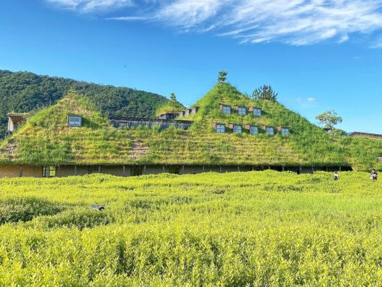 びわ湖展望台＋白髭神社＋浮御堂＋近江八幡 日帰りツアー＜大阪・京都発着／日本語・中国語or英語＞