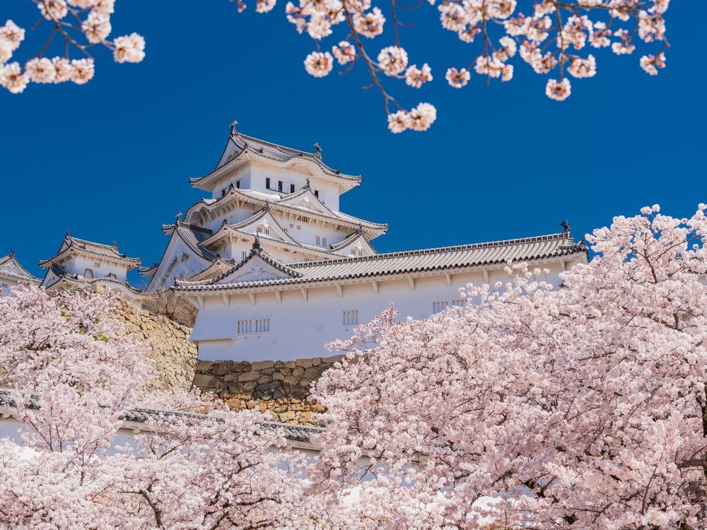 Japan_Hyogo_Himeji_Castle_pixta_98738862