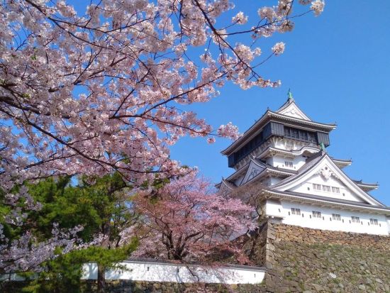 【4～5月限定】福岡発日帰り北九州バスツアー　CNN「日本で最も美しい場所31選」に選出された『河内藤園』＆小倉城＆THE OUTLETS KITAKYUSHU