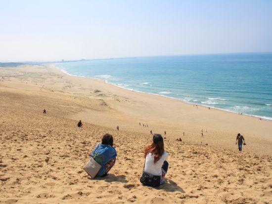 鳥取砂丘と砂の美術館＆梨狩り食べ放題 日帰りバスツアー 日本最大級の砂丘と旬の味覚を満喫！＜大阪発着＞