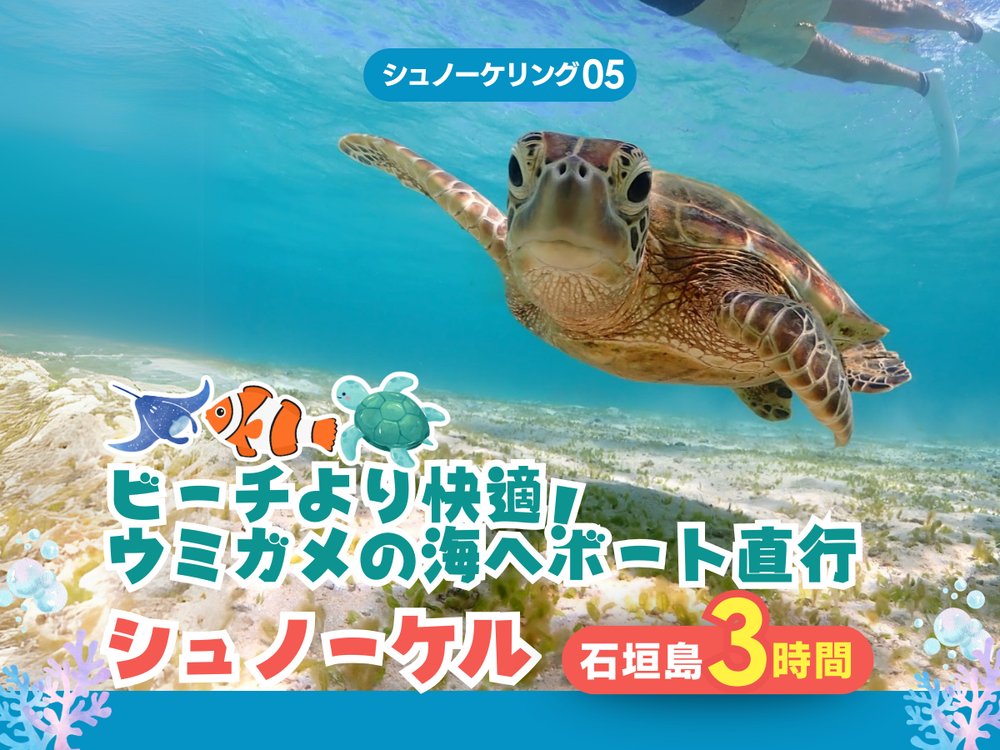 ウミガメシュノーケリング体験 高確率で遭遇！ウミガメと撮った写真は