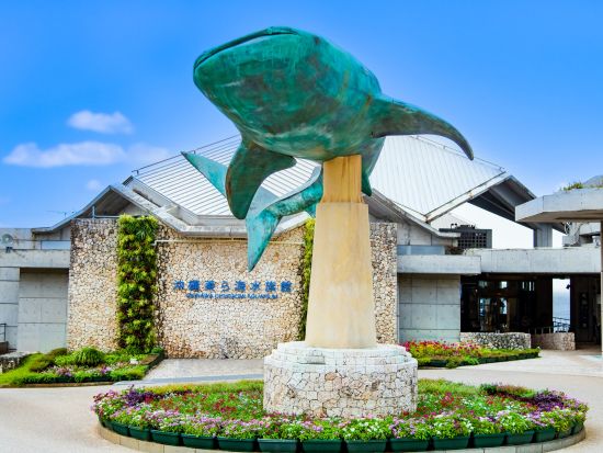沖縄美ら海水族館 入館WEBチケット 事前購入でスムーズ入場◎沖縄屈指の観光スポットを気軽に大満喫＜沖縄本島＞