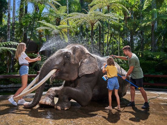 エレファントサファリパークツアー　ライステラス鑑賞やウブド観光も楽しめる ＜ビュッフェランチ付き／日本語ガイド＞by JTB