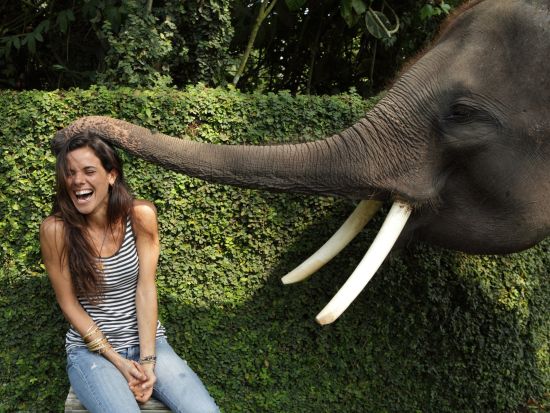 エレファントサファリパークツアー　ライステラス鑑賞やウブド観光も楽しめる ＜ビュッフェランチ付き／日本語ガイド＞by JTB