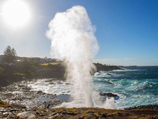 ジャービスベイ1日ツアー　イルカウォッチング＋キアマ・ブローホールを満喫！ドーナツ＆海を望むランチ付き＜日本語ガイド／シドニー発＞