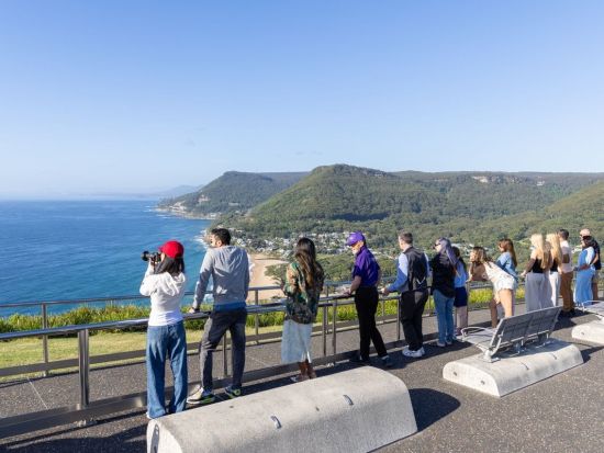 ジャービスベイ1日ツアー　イルカウォッチング＋キアマ・ブローホールを満喫！ドーナツ＆海を望むランチ付き＜英語ドライバーガイド／シドニー発＞