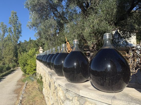 人気ロケ地のワイナリー訪問ツアー　恋愛リアリティーショーで話題のセラーで見学＆試飲＜3約時間／午前or午後／英語ドライバー／ニース発＞