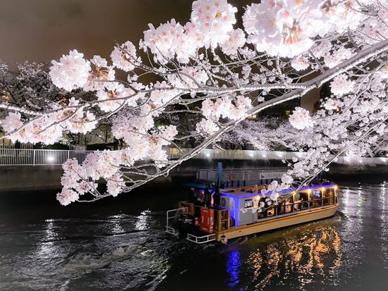 JK40D_ee0dc511-95a3-4d91-903e-6f