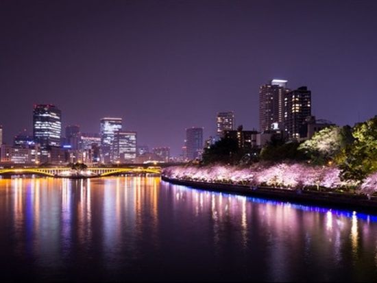 JK40D_62f35078-34e1-471e-807f-87