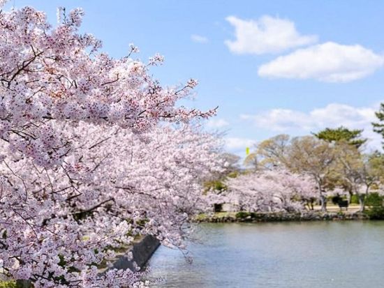 JK40D_bd7d6604-5804-4613-b1c9-8b