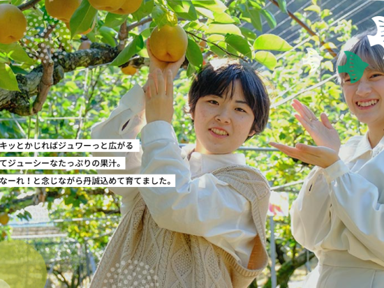 鳥取砂丘と砂の美術館＆梨狩り食べ放題 日帰りバスツアー 日本最大級の砂丘と旬の味覚を満喫！＜大阪発着＞