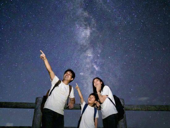 【宮古島｜ナイトツアー】2000円で一生モノの体験★アマゾン帰りのガイドとジャングル大冒険＜写真無料プレゼント／当日予約OK＞